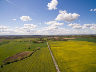 
Aerial view of a country road in a colorful raps field in spring with blue sky in germany