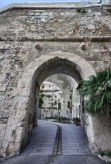 Cagliari, Porta dei Leoni