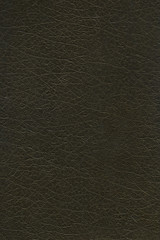 Dark khaki leathered texture can be used as background