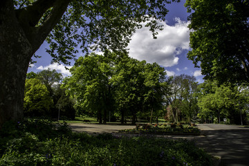 Obraz premium Mainzer Volkspark an einem sonnigen Frühlingstag