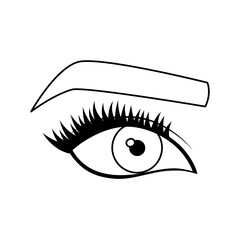woman eye and eyebrow icon over white background. vector illustration