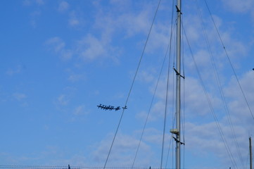 Esibizioni PAN Frecce Tricolori 2017
