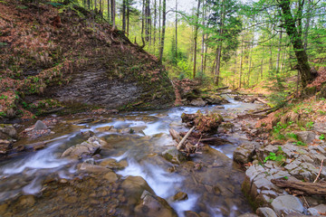 Landscape of river in mountains  and small waterfall. View of stone water rapids  and spring forest.