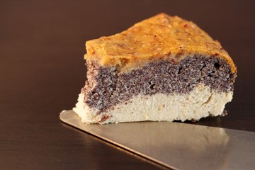 Homemade poppy seed cake made from paleo and vegetarian friendly ingredients.