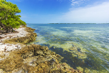 Fototapeta na wymiar Florida Keys island shore