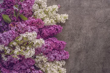 Foto op Plexiglas Sering meng witte en paarse lila op donkere achtergrond, lente bloeiende plant, plaats voor tekst