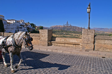 Horse on bridge in Ronda