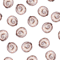 Seamless pattern with beige light seashells on white background. Hand drawn watercolor illustration.
