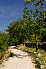 Fototapeta na wymiar historische Straße, Nationalpark Krka, Region Sibenik-Knin, Mitteldalmatien