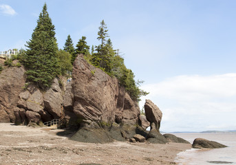 High Tide Beach