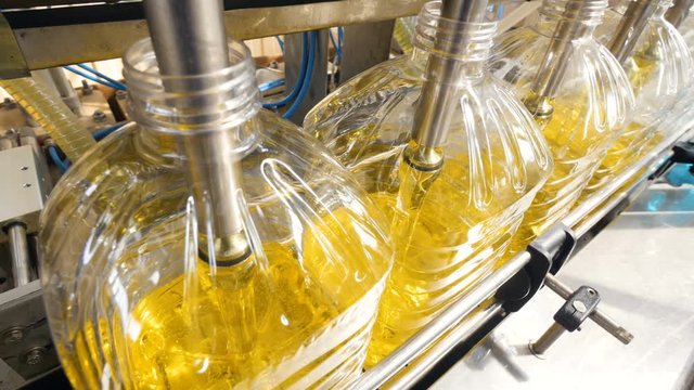 Close-up. Factory equipment pouring sunflower oil in to the bottles moving on production line. 4K.