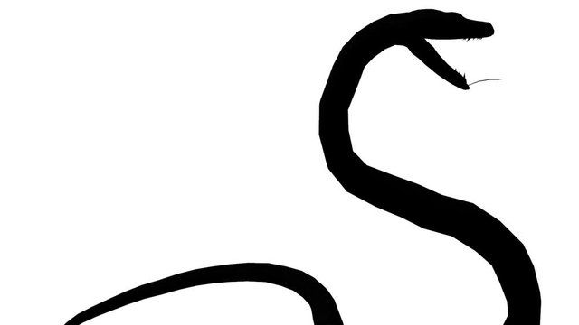 Snake & jungle carpet python attack,sliding decorative non venomous,wild animal herpetology sketch silhouette background.