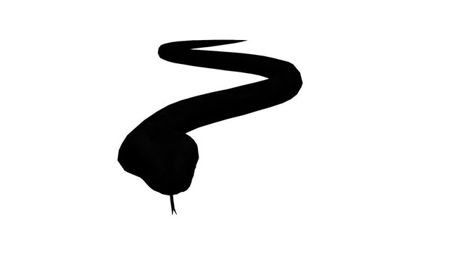 Snake & jungle carpet python slide crawling sketch silhouette,sliding decorative non venomous,wild animal herpetology background.