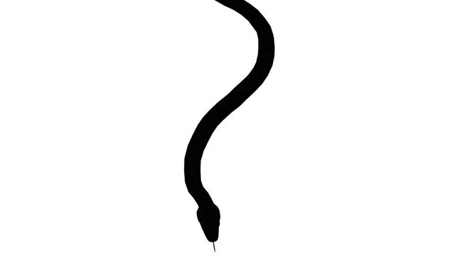 Snake & jungle carpet python slide crawling sketch silhouette,sliding decorative non venomous,wild animal herpetology background.