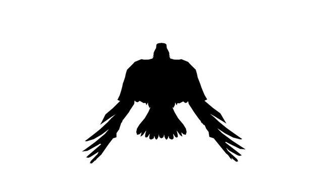 Eagle inciting wings flying in sky,haliaeetus leucocephalus bird animal sketch silhouette.american freedom symbol.