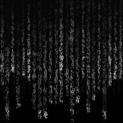 Background in matrix style. Drop random characters in black and white.