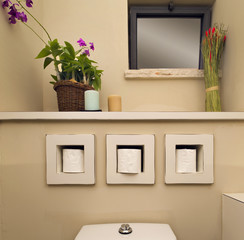Obraz na płótnie Canvas Interior design, designed bathroom