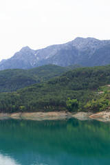 Fototapeta na wymiar Mountains covered by pine forests descending to lake