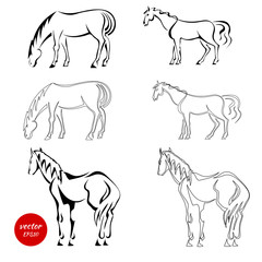 Set of black abstract horses on a white background. An image of horses in various poses. Vector illustration