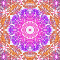 Warm colored butterfly or flower, digital artwork for creative g