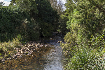 Obraz premium Paisagem de outono bota de frio na agua do riacho