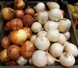 Fresh organic white and  brown onion bulbs among many onion  background in the wooden basket in supermarket. Heap of onion root in kitchen. Close-up red onion shallot texture
