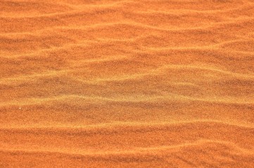 Details of the Dunes of the Namib Desert near Swakopmund