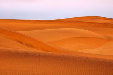 Fototapeta na wymiar View over the Dunes of the impressive Namib Desert near Swakopmund