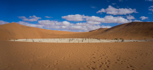 Fototapeta na wymiar Deadvlei, Death Valley - Namib Desert, Namibia