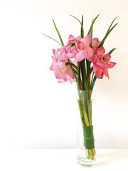 mobile photo beautiful violet lotus bouquet