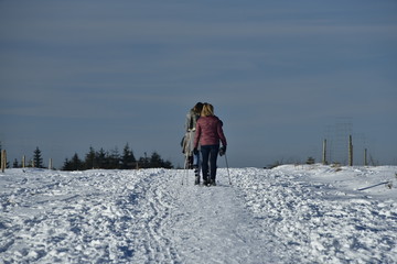Fototapeta na wymiar Ski de fond entre ciel et neige au plateau des Hautes Fagnes à l'est de la Belgique
