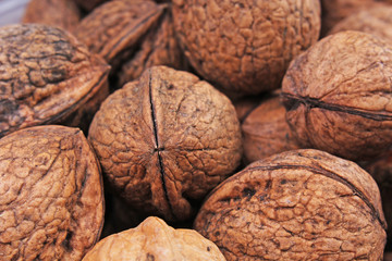 Walnut