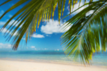 Fototapeta na wymiar Blur Tropical beach background with palm and blue sea