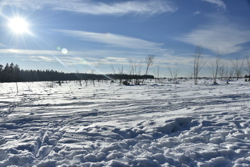 Paysage des tourbières des Hautes Fagnes en hiver sous la neige 