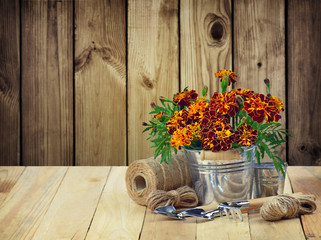 A garden tool and a bouquet of marigolds in a metal bucket. Concept.