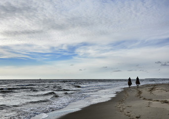 Horses on the beach