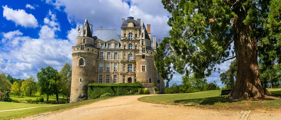Photo sur Plexiglas Château L& 39 un des plus beaux et mystérieux châteaux de France - Château de Brissac, vallée de la Loire