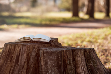 An empty notebook or diary with open pages lies on a stump in park