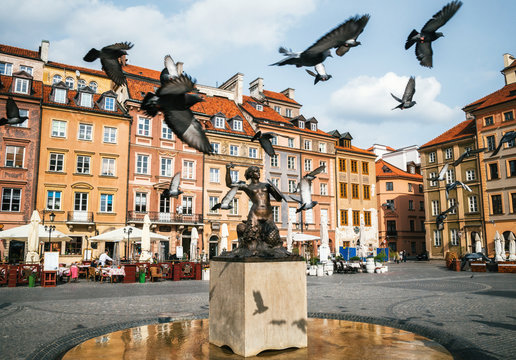 Birds of pigeons are flying through Stare Miasto Old Town Market Square with Mermaid Syrena Statue in the center of Warsaw, Poland.