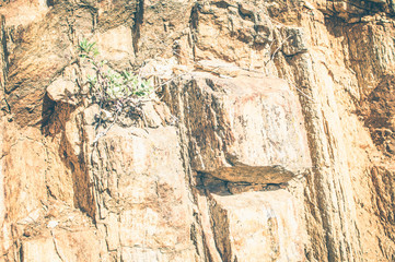 Texture stone brown wall for background