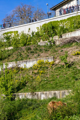 View of the Baerenpark in the capital city of Bern, Switzerland