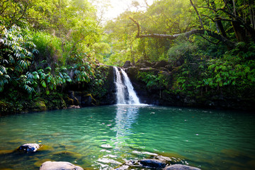 Tropical waterfall Lower Waikamoi Falls and a small crystal clear pond, inside of a dense tropical rainforest, off the Road to Hana Highway, Maui, Hawaii