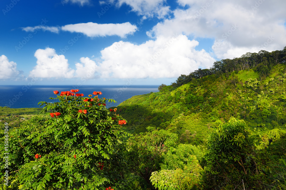 Wall mural Beautiful views of Maui North coast, taken from famous winding Road to Hana