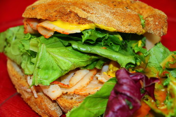 Turkey sandwich