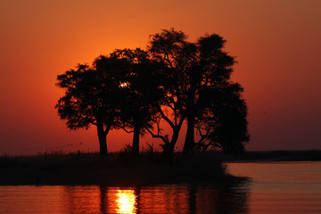 Island in the Chobe River in the sunset