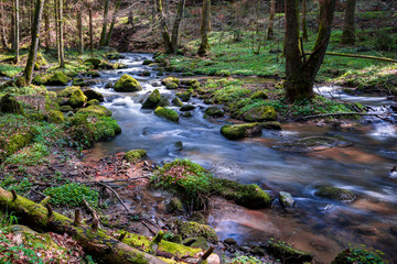 Otterbachtal-6 Wildbach im Bayerischen Wald