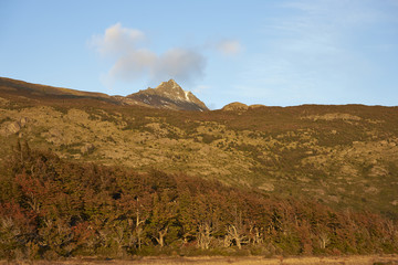 Autumn colour on trees and bushes covering the hillsides in Torres del Paine National Park in Patagonia, Chile.
