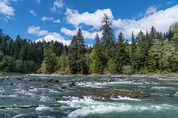 Ox Bow At The Hoh River, Washington State, USA
