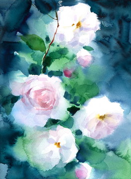 White Roses on Dark Background Watercolor Flowers Floral Hand Painted Greeting Card Illustration