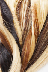 Fototapeta premium Himan hair.